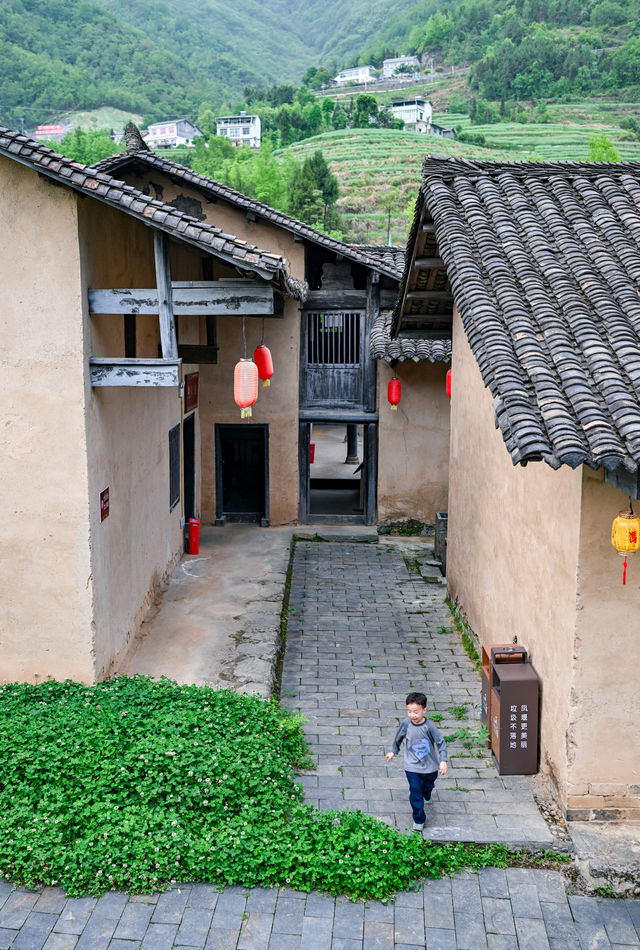 陝南避暑1日遊住進了可以看雲海的小房子