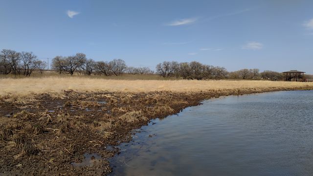 黑瞎子島國家濕地公園（撫遠）