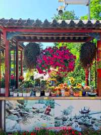 Colorful Garden in Beijing