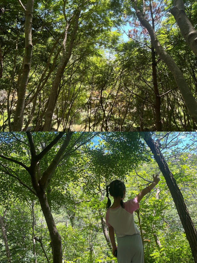 在煙台！！在冰碴子裡找浪漫的痕跡