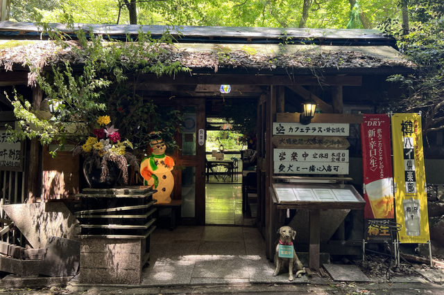 不一樣的大阪之旅泉佐野一日遊