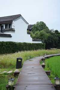 河源 | 深圳自駕2小時抵達寶藏親子度假地