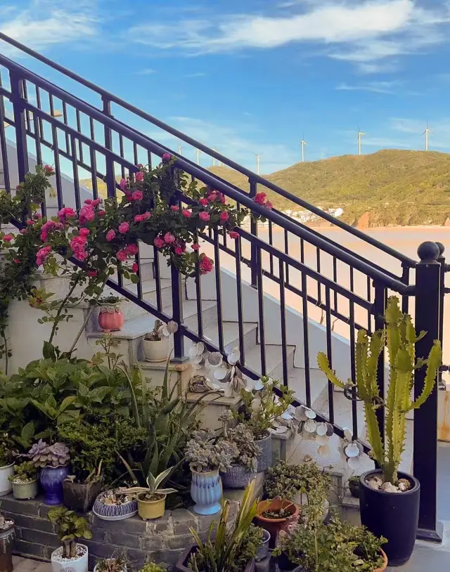 Graduation Trip | Two-Day, One-Night Nanny-Level Guide to Quzhou Island is here