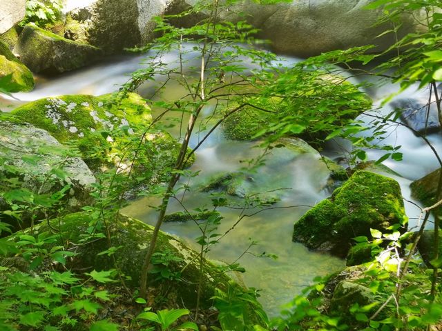 東北小江南，靠近朝鮮