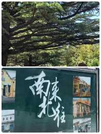 為了南來北往我來了一趟濰坊……