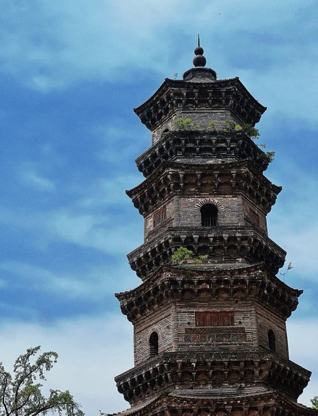 芜湖廣濟寺位於安徽省芜湖市赭山西南麓，是一座歷史悠久的佛教寺廟