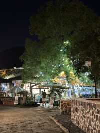 夜遊南京不老村！風景真美！氣候宜人！