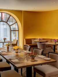 🌟🏙️ Luxe Manhattan Moments at The Peninsula New York 🛎️✨