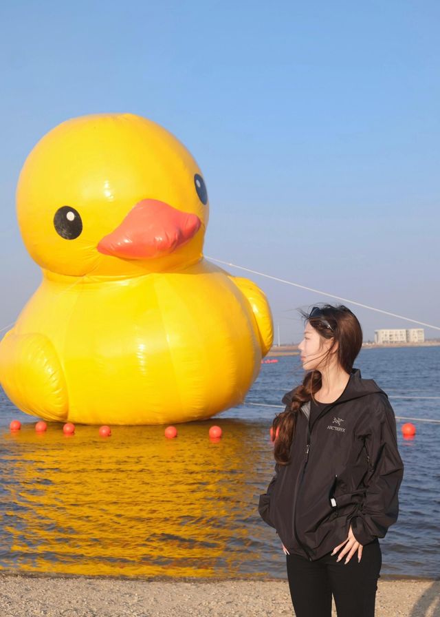 台州三門｜濱海新城粉色沙灘打卡地金麟湖