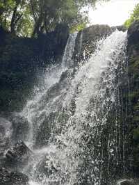 龍苍溝國家級森林公園