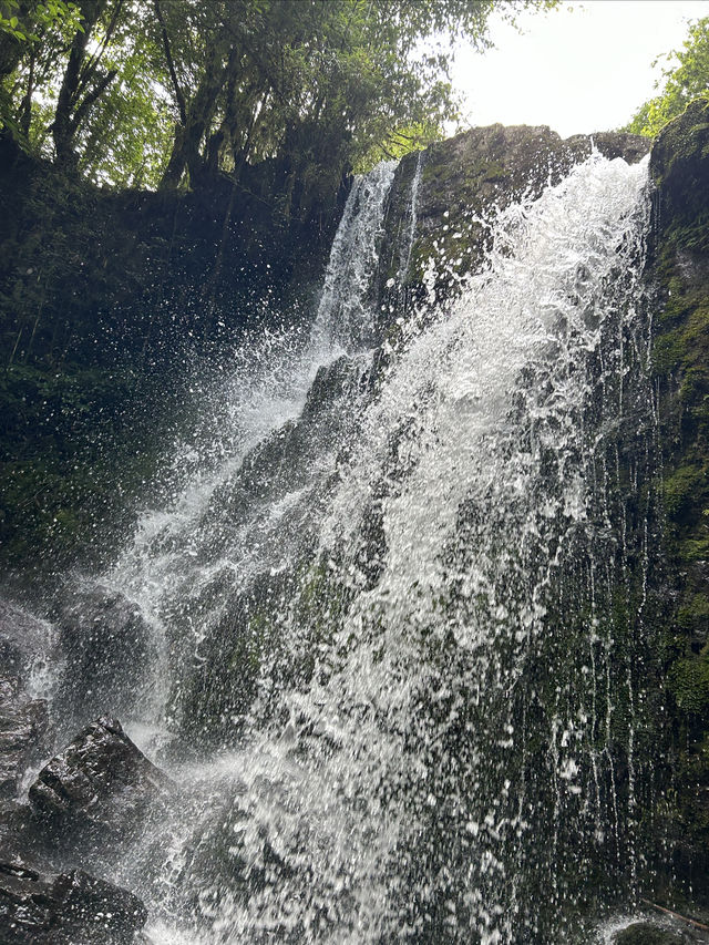 龍苍溝國家級森林公園