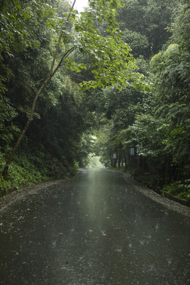 雨天的安吉靈峰寺！別有一番味道