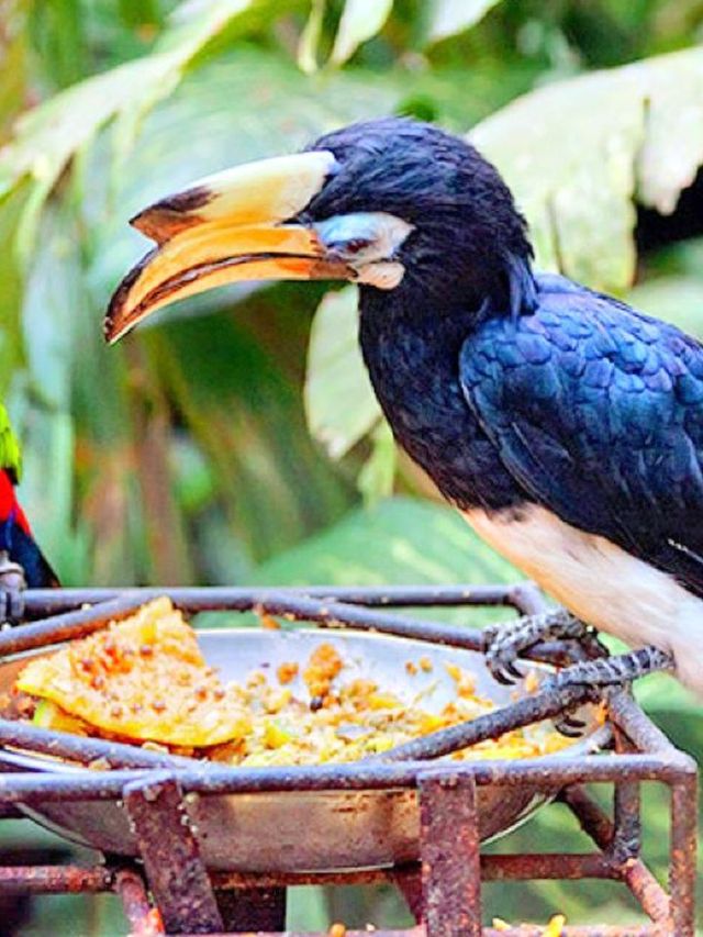 🌴🌊 Bali's Best: Family Fun in the Sun! 🎢🐘