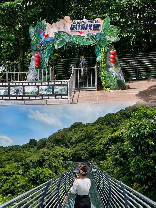 海南瓊中百花嶺 | 遊玩攻略get