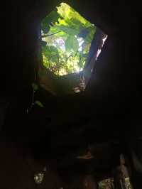 深圳探秘 | 有丁达尔效应的热带雨林