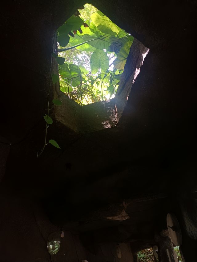 深圳探秘 | 有丁达尔效应的热带雨林