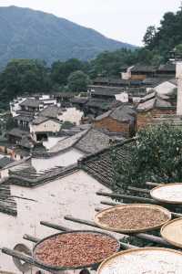 最美鄉村|婺源篁嶺7小時CountryWalk旅遊攻略
