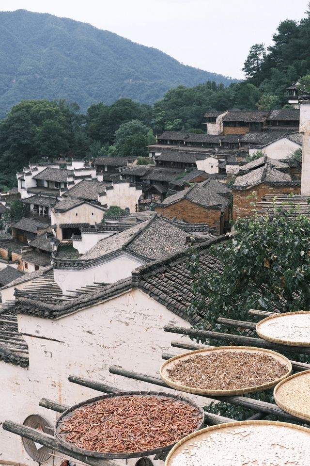 最美鄉村|婺源篁嶺7小時CountryWalk旅遊攻略 最美鄉村|婺源篁嶺7小時CountryWalk旅遊攻略