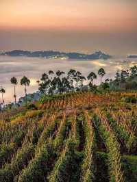 🌟 Bandung's Luxe Retreat: InterContinental Dago Pakar 🌟