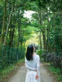 深圳小眾徒步路線，連接公園古鎮的舒適之旅🌳🏘
