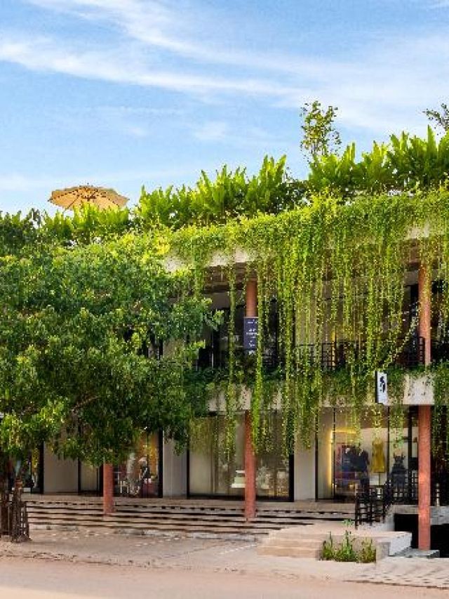 🌟 Siem Reap's Hidden Gem: The Aviary Hotel 🕊️✨