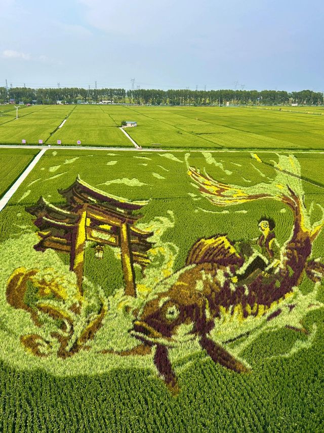 沈陽｜稻夢空間攻略