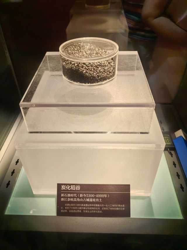 親子長沙遊，千萬別錯過隆平水稻博物館