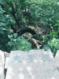 青州井塘古村探秘之旅