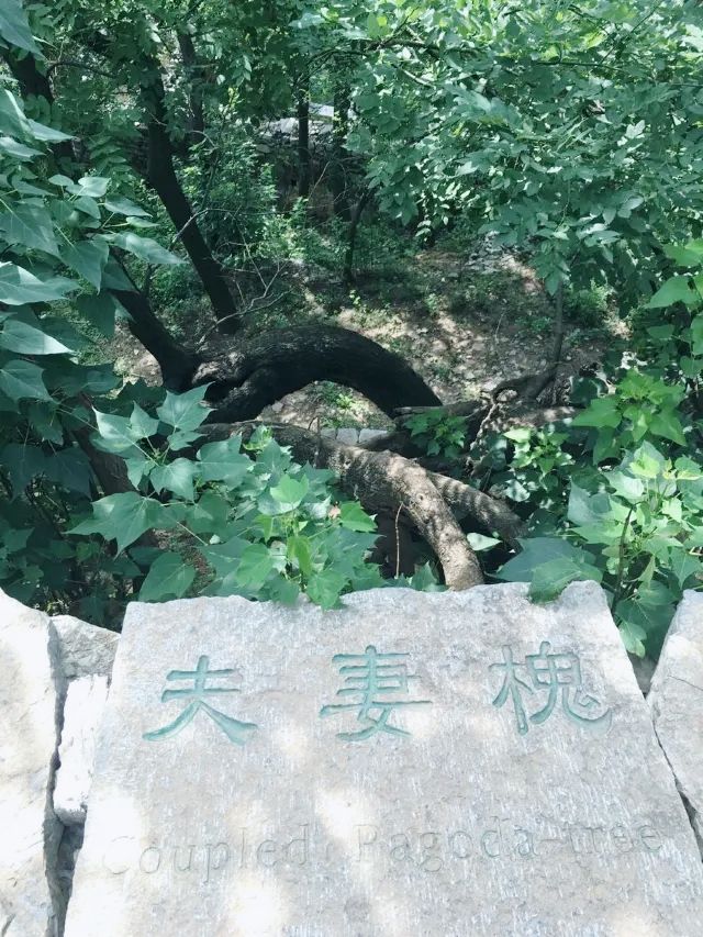 青州井塘古村探秘之旅