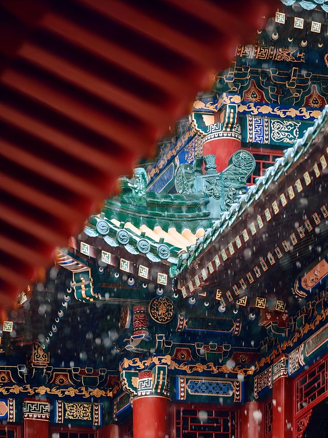 找座小城慢慢游｜舟山打卡悟空同款中式美學！
