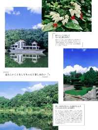 仙湖植物園，綠色的童話世界