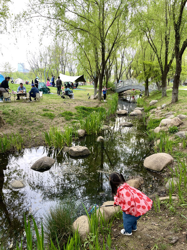 南京遛娃江寧15個常去遛娃的免費寶藏公園