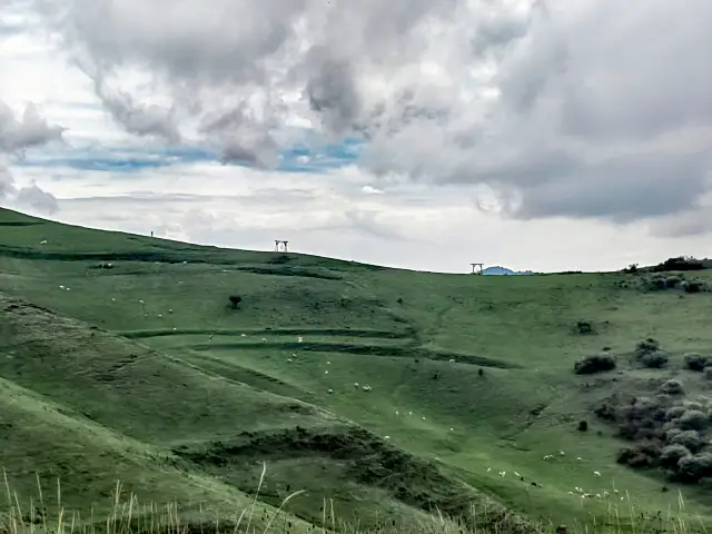 Beautiful Ping'an Grassland.