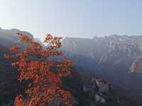 坡峰嶺。