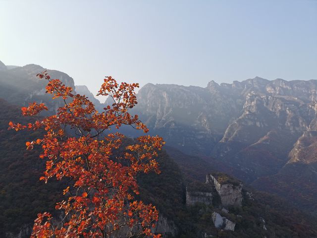坡峰嶺。