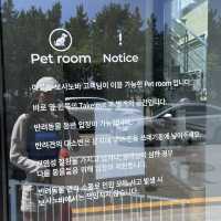 속초 바다 뷰가 너무 예쁜 감성 대형 베이커리 카페 보사노바 커피로스터스 ☕️