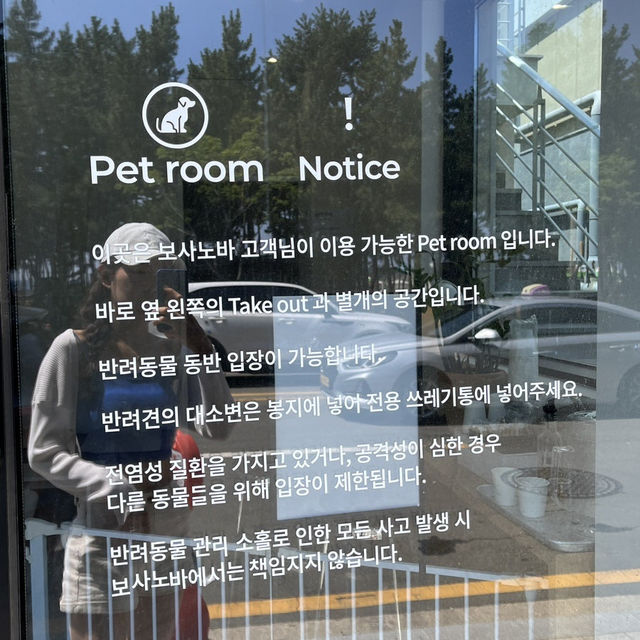 속초 바다 뷰가 너무 예쁜 감성 대형 베이커리 카페 보사노바 커피로스터스 ☕️
