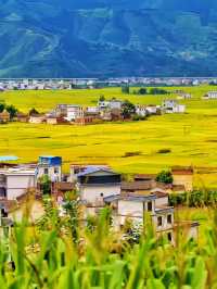 國慶賞秋真正冷門地，大理自駕2.5小時可到。