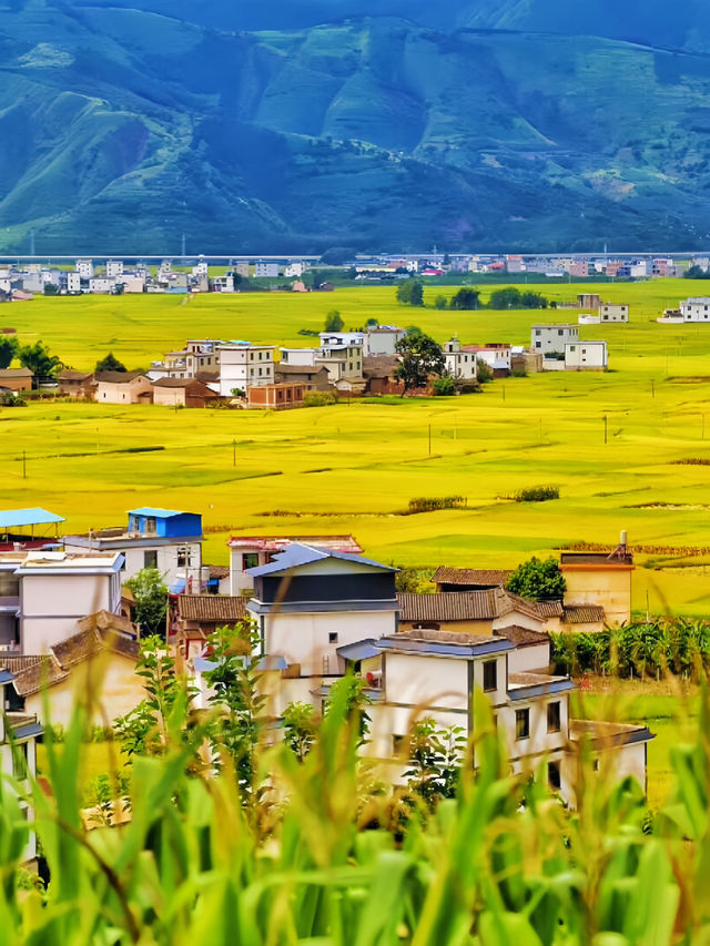 國慶賞秋真正冷門地，大理自駕2.5小時可到。