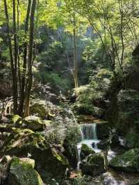 陝西牛背梁國家森林公園｜不愧是天然生態氧吧。