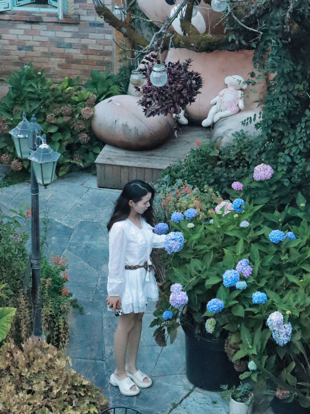 在束河古鎮住進了莫奈花園·好愛麗絲仙境哇。