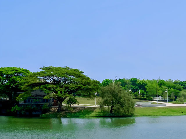 高雄澄清湖：悠閒游湖，盡享自然之美