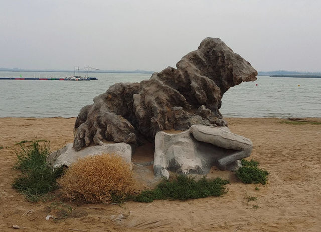 寧夏沙湖鳥國。