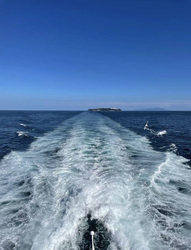 東京⇆熱海/有海有檸檬。