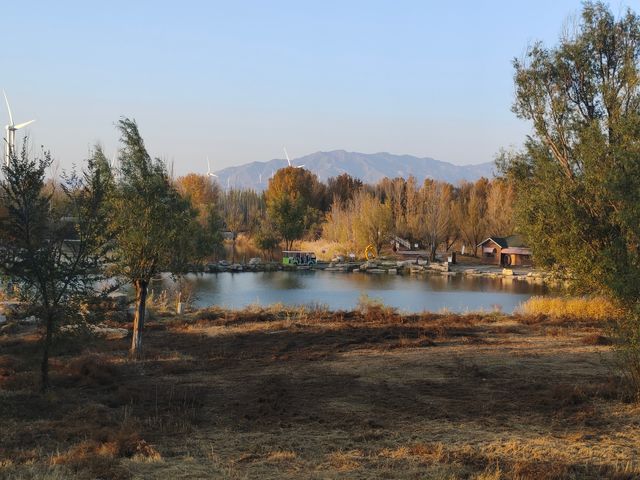 遊覽官廳水庫濕地公園。