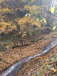 祥峪森林公園。