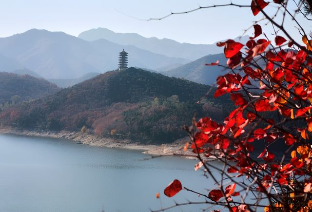 金海湖：秋日裡的詩與遠方。。