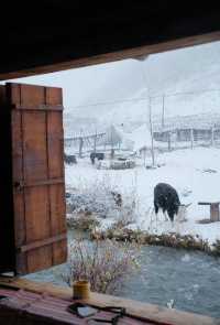 川西雪國夢境!甲根壩初冬風光太美了|。