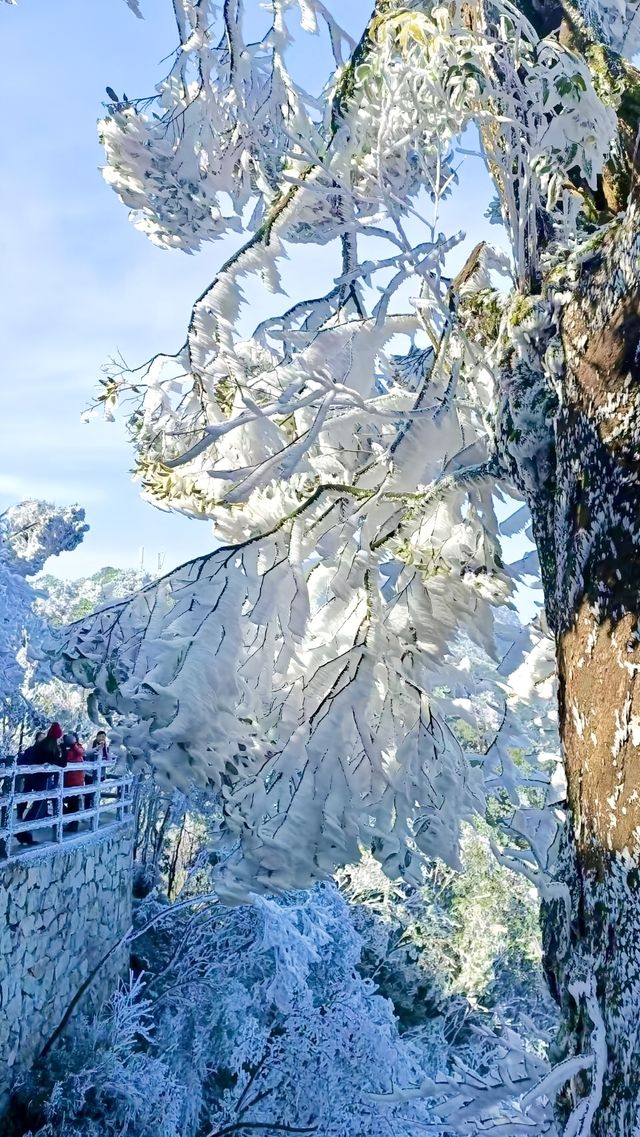 這些地方不僅美麗還省錢。