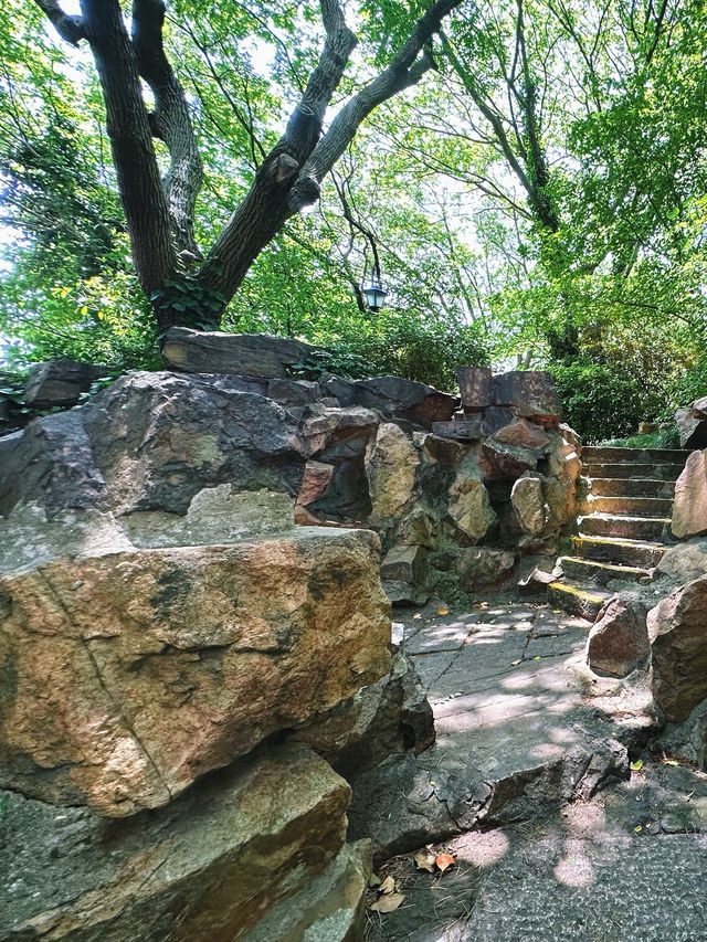 成都 | 賞銀杏遊玩的好去處（附蛟龍港活水公園攻略）。